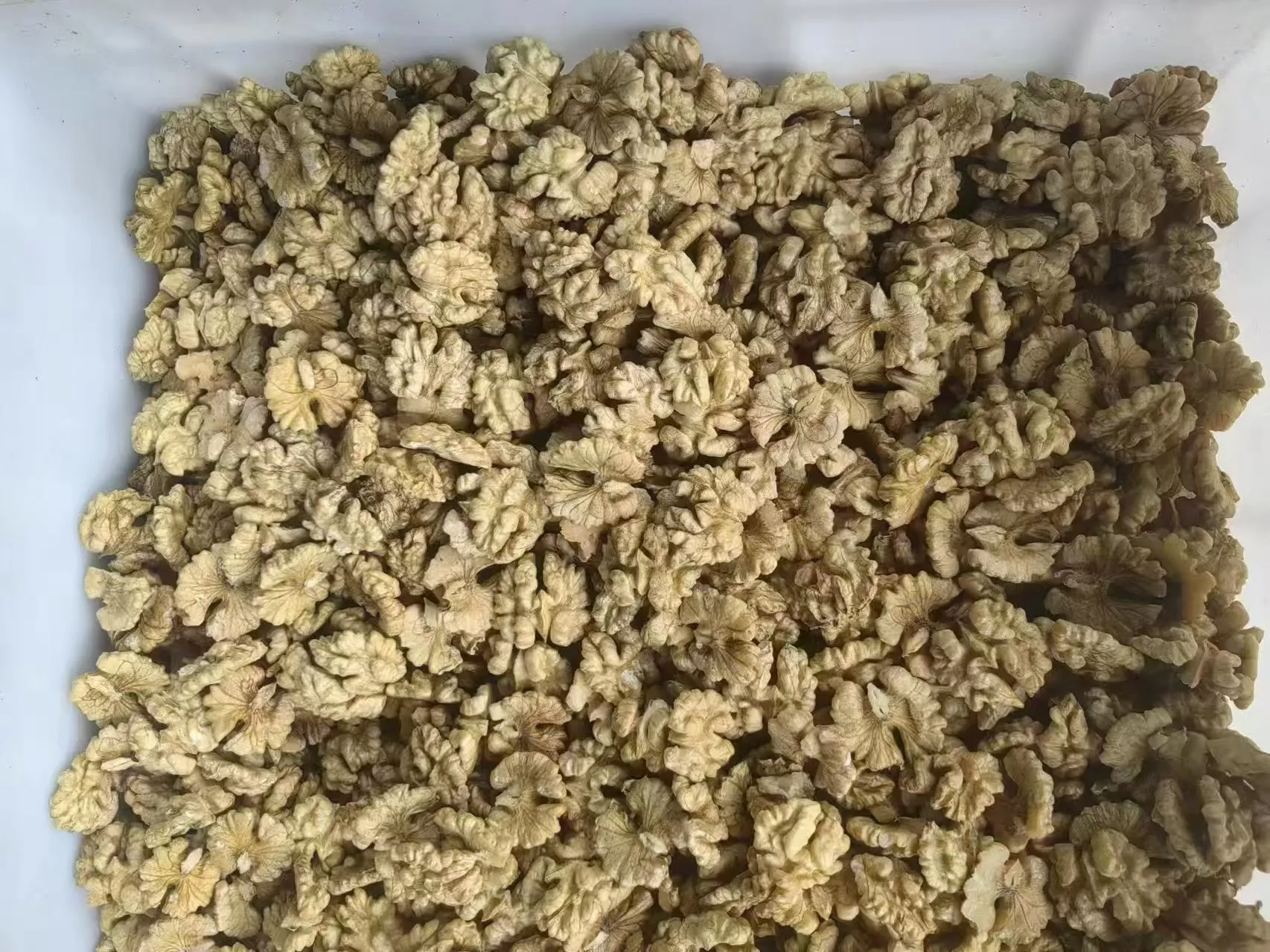 Walnut Kernels